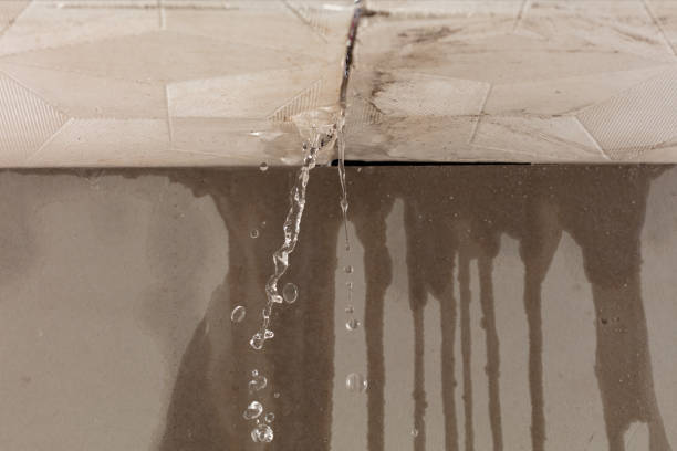 Professional Burst Pipe Cleanup technician working in Ogden, NC
